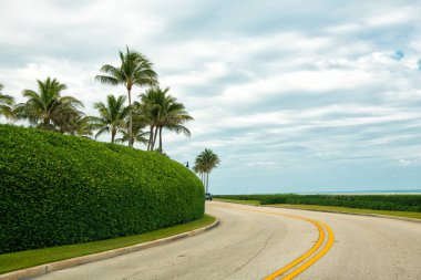 Seaside highway along bush fence on cloudy outdoors in Palm Beach Florida, USA, road bend