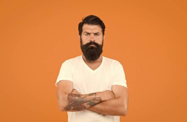 Kendine güvenen ve dramatik. Sakallı, stil sahibi bir adamın portresi. Bıyıklı, vahşi beyaz adam. Sakallı, olgun bir hippi. Sakallı, sakalsız, ciddi bir adam. sakal ve cilt bakımı