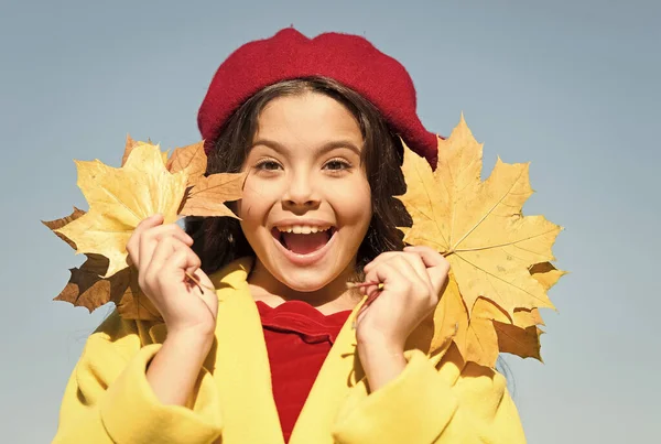 Criança parisiense feliz usar boina francesa e segurar folhas de bordo outono, moda — Fotografia de Stock