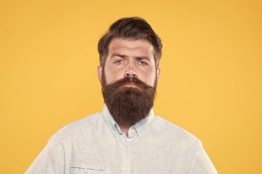 Mükemmel sakal şekli. Sakallı, beyaz bir hippi. Olgun berber ustası. Berber dükkanı ve kuaför konsepti. Erkek saç stili ve güzellik. Beyaz gömlekli vahşi sakallı adam. Profesyonel şef.