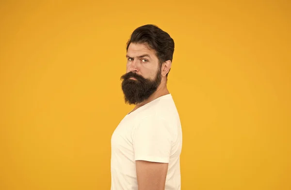 Perfecte man. portret van een bebaarde stijlvolle man. Brutale blanke man met snor. volwassen hipster met baard. Ernstige ongeschoren man met baard. baard- en huidverzorging. zelfverzekerd en dramatisch concept — Stockfoto