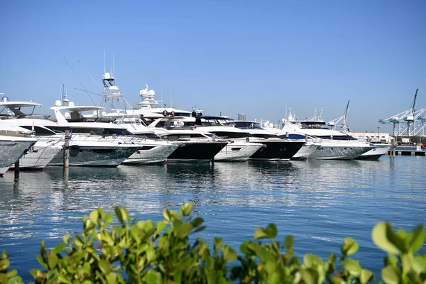 Luxus-Seeboote in Yachtliegeplatz in Miami, Vereinigte Staaten — Stockfoto