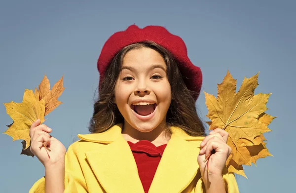 旅途愉快。小孩抱着秋天的叶子。大自然的美丽。快乐的复古女孩。女孩收集黄色枫叶。巴黎小孩穿着法国贝雷帽。秋天是上学的时候了。室外好天气 — 图库照片