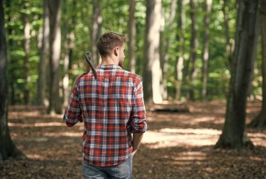 Ormanda balta ve doğa ile yürüyen ormancı.