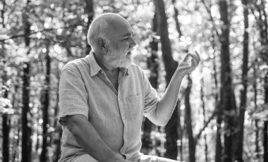 Basit şeylerde güzellik görmek. Yaşlı sakallı adam yaprak topluyor. Mutlu adam sonbahar doğasının tadını çıkarır. Sakallı büyükbaba ormanda dinleniyor. Emekliler güneşli bir sonbahar gününde ormanda yürüyüş yapıyor. Neşeni koru.