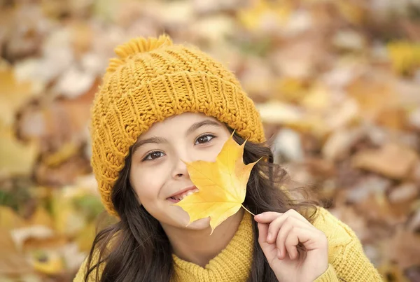 Felice adolescente che si diverte nella foresta autunnale con belle foglie d'acero stagionali che indossano vestiti caldi a maglia come cappello e maglione, moda bambino — Foto Stock