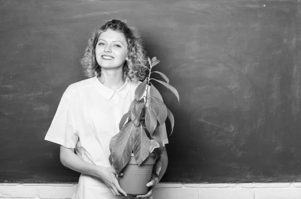 Happy student girl with plant at blackboard. tree of knowledge. school learning ecology. school nature study. environmental education. teacher woman in glasses at biology lesson. copy space — Stock Photo, Image
