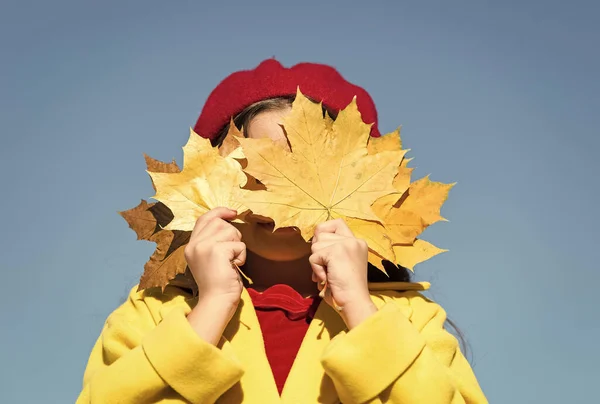 Happy child having fun with autumn maple leaves, funny mood — Stock Photo, Image