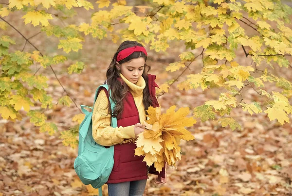 Mattinata tranquilla. Di buon umore a qualsiasi tempo. moda autunno bambino. stagione romantica per ispirazione. infanzia felice. Torniamo a scuola. adolescente con zaino tenere foglie d'acero nel parco. autunno stagione bellezza — Foto Stock