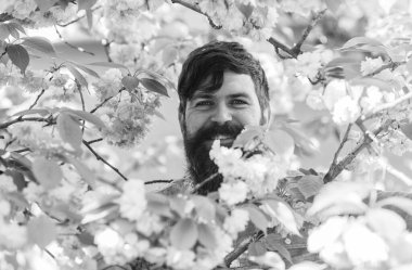 Çiçeklerin arasında saklanıyor. Dışarıdaki yakışıklı sakallı adam. Mutlu Paskalyalar. Kiraz çiçeğindeki vahşi hippi. Sakura çiçekli adam. Pembe narin çiçek. Bahçe konseptinde hafta sonu. Etrafı çiçeklerle çevrili.