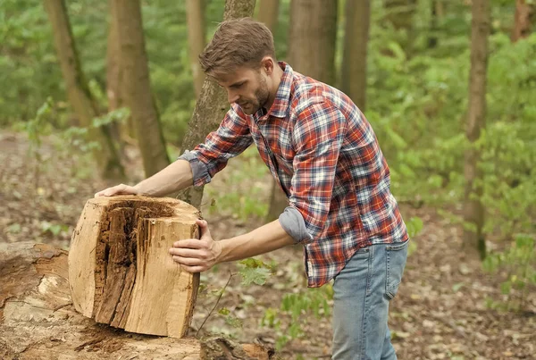 Homem preparar toco de árvore para o corte, natureza florestal — Fotografia de Stock