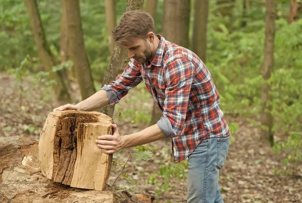 Homme préparer souche d'arbre pour la coupe, forêt nature — Photo