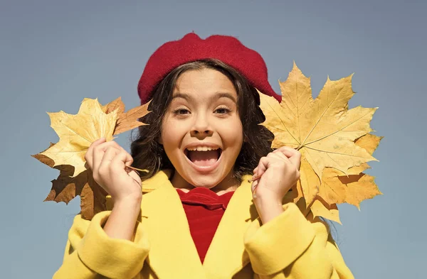 秋天的时尚。巴黎的孩子戴着贝雷帽。大自然的美丽。秋天的法国小孩有黄色枫叶的快乐的女孩。快乐的孩子喜欢秋天的天气。小女孩收集秋叶 — 图库照片