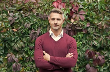 Gerçek güven. Erkek güz mevsimi modası. Sonbahar yaprakları üzerinde yakışıklı bir adam. Erkek güzellik konsepti. Kendine güvenen iş adamları günlük iş kıyafetleri giyerler. Tıraşsız, olgun bir adam.