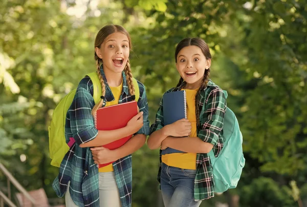 Nastolatki odrabiają lekcje. Dzieci używające książek do nauki. Edukacja i kształcenie na odległość dla dzieci. Nauka w domu podczas kwarantanny. Opieka nad dziećmi i szczęśliwe dzieciństwo — Zdjęcie stockowe