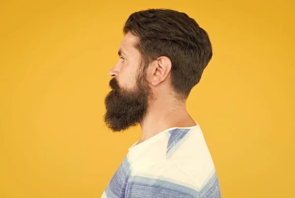 Baard mode en kapper concept. Man bebaarde hipster stijlvolle baard en snor gele achtergrond. Ik ben perfect. Barber tips onderhouden baard. Stijlvolle baard en snor verzorging. Hipster uiterlijk — Stockfoto