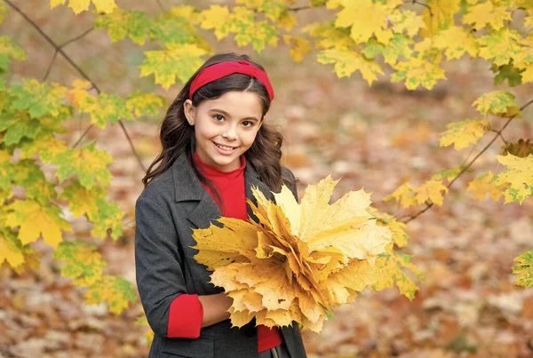 Felice ragazza manciata di foglie di acero giallo nel parco, natura autunnale — Foto Stock