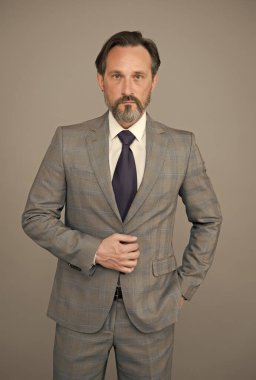 Sakallı ve bıyıklı olgun bir iş adamı şık bir takım elbise giyer.