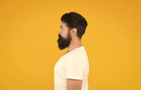 Bushy Bart Hipster Mann Barbershop Client gelb Hintergrund, perfekte Seitenansicht Konzept — Stockfoto