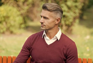 Olgun yakışıklı adam dışarıda rahatla. Bakımlı adam bankta oturur. Kendine güvenen iş adamı mor kazak giyer. Sıradan iş modası. Erkek güzelliği ve moda