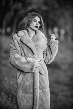 Sahte kürk gerçek kürke karşı. Görsel estetik. Lüks ve başarı konsepti. Kürk giymenin faydaları. Zarif bir kadın kürk giyiyor. Güzellik ve moda. Sonbahar ve kış tarzı. Eşsiz Sıcaklık