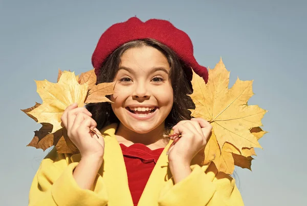 Totalmente feliz. menina retro feliz. menina recolher folhas de bordo amarelas. O miúdo parisiense usa boina francesa. Outono é hora da escola. bom tempo para andar ao ar livre. criança mantenha folhas de outono. beleza da natureza — Fotografia de Stock