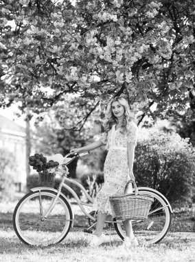 Harika bir yaz. Seyahat. Retro kadın lale çiçeği buketi satıyor. Klasik bisikletli, Sakura 'nın altında bir kız. bahar güzelliği ve moda. kiraz ağacı pembe çiçek. Mükemmel koku. Parfüm kaplıcası ve alerjisi