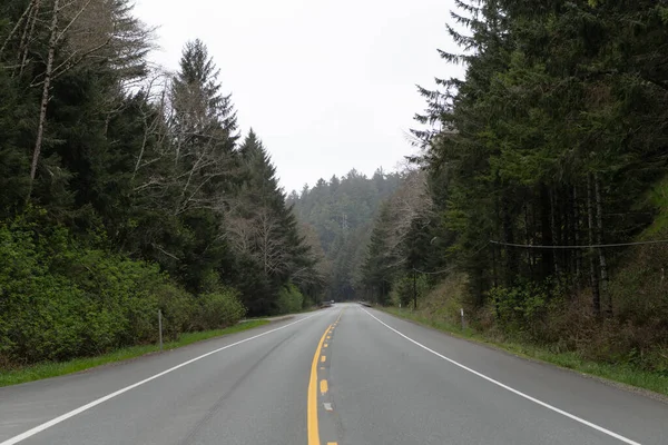 Strada statale vuota attraverso alberi forestali in Oregon, Stati Uniti — Foto Stock