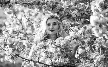 Bahar koleksiyonu. Saf güzellik dişisi. Tasasız ve mutlu bir kadın. Seksi kız sakura çiçeğinin tadını çıkarıyor. Bahar çiçeği açan ağaç. Pembe kiraz ağacı çiçekleri. Çiçek aroması tedavisi. Eski ve eski moda.