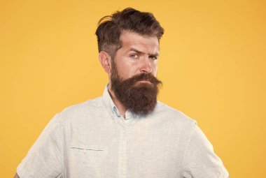 Çok şık görünüyorsun. Bıyıklı, vahşi, beyaz bir hippi. Kendine güvenen ve yakışıklı vahşi bir adam. Karizmatik adam ciddi görünüyor. Erkek berber modası. Saç ve sakal bakımı. Beyaz gömlekli sakallı aşçı.