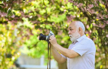 Yakından bak. Gezgin kameraman Sakura Bloom 'un altında. seyahat konsepti. Erkek fotoğrafçı kiraz çiçeklerinin tadını çıkarır. seyahat ve kiraz çiçekleri parkında yürümek. Emeklilik hobisi. Turizm ve tatil