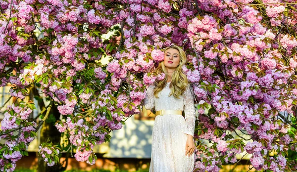 Ik ben een bron. lente mode stijl. echte vrouwelijke schoonheid. zomerweer en natuur. vrouw met lang haar in het park. roze kersenboom bloesem. mooie vrouw in jurk. meisje met bloeiende sakura boom — Stockfoto