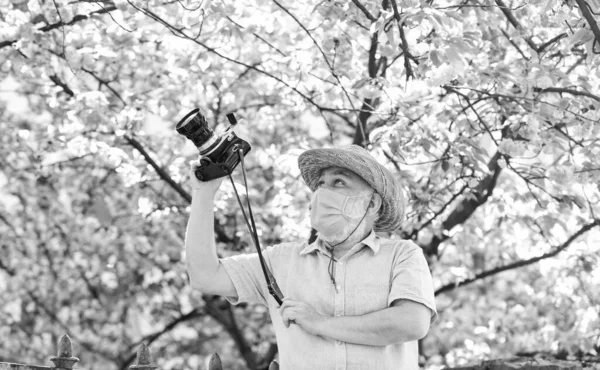 Senior skäggig man i respirator mask. professionell fotograf arbete under coronavirus karantän. man turist använda kameran ta foto av körsbär blomma. sakura i full blom fotografering — Stockfoto