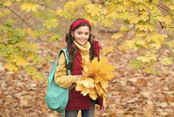 Che bellezza. teen girl portare lo zaino sulla strada per la scuola. passeggiata per bambini nella foresta o nel parco autunnale. autunno tempo stagionale. felicità infantile. bellezza e natura. bambino felice raccogliere foglie di acero giallo — Foto Stock