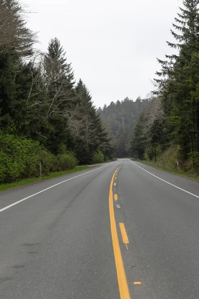 Strada. Oregon strada vuota. percorso estivo. viaggio modo con nessuno. strada statale tra foresta — Foto Stock