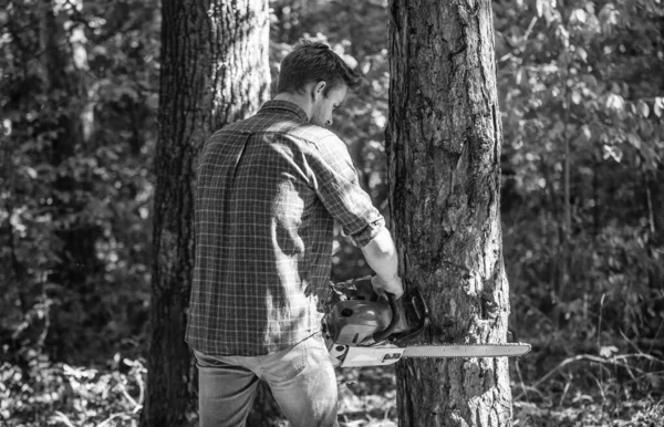 Muž lesník použít pilu k řezání stromu. Hledejte ve dřevě piknikový táborák. Přežívám v divoké přírodě. lidské a přírodní. muž turistika ve dřevě. pytlák v lese. odlesňování. hraničář nebo pytlík — Stock fotografie