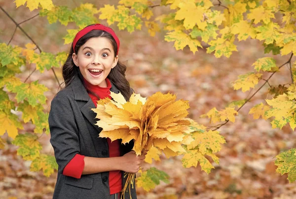 Boldog gyermek maroknyi sárga juharfalevél a parkban, ősz — Stock Fotó