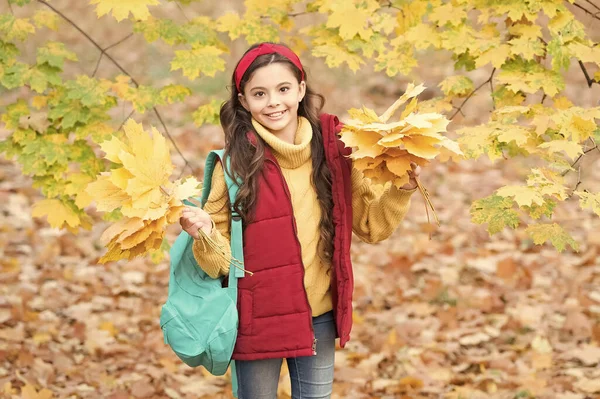 Šťastný dospívající dítě těší podzimní les s krásnou sezónní přírodou nést školní tašku a držení žluté padlé javorové listy uspořádání, zpět do školy — Stock fotografie