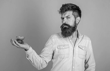 Katı sakallı bir adam organik tedavi sunar. Hipster sakallı olan avuç içinde çilek ve elma tutar. Adam çilekleri ve elma meyvelerini denemeyi teklif ediyor. Senin için ikramlarım var.