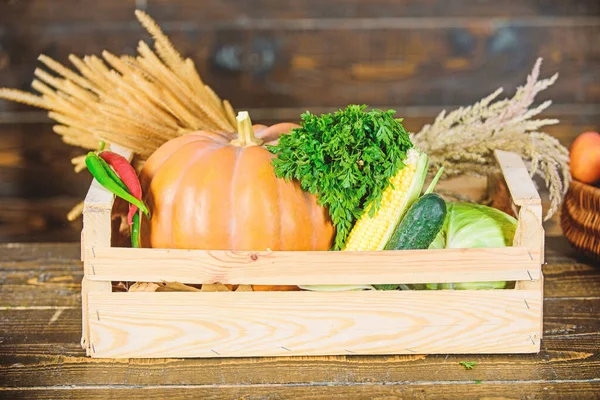 Ein gesundes Leben führen. Einkaufen im Supermarkt. gesundes Produkt. Erntedankfest. Korb mit nützlichem Obst und Gemüse. Reiche Herbsternte. Saisonale Vitamine. organische und natürliche Lebensmittel. fröhliches Halloween — Stockfoto