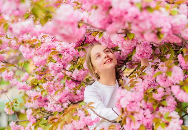 Flickan njuter av våren. Grabben njuter av rosa körsbärsblomma. Anbud blommar. Rosa är den mest flickaktiga färgen. Ljusa och livfulla. Rosa är min favorit. Grabben på rosa blommor sakura träd bakgrund — Stockfoto