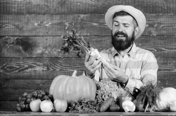 Campesino rústico aspecto aldeano. Hombre alegre granjero barbudo celebrar rábano picante fondo de madera. Cultivos orgánicos. Sombrero de paja granjero presentando verduras frescas. Agricultor con cosecha propia —  Fotos de Stock