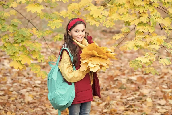 Lucky to start the day here. autumn kid fashion. romantic season for inspiration. happy childhood. back to school. teenage girl hold maple leaves in park. fall season beauty. enjoy day in forest — Stock Photo, Image