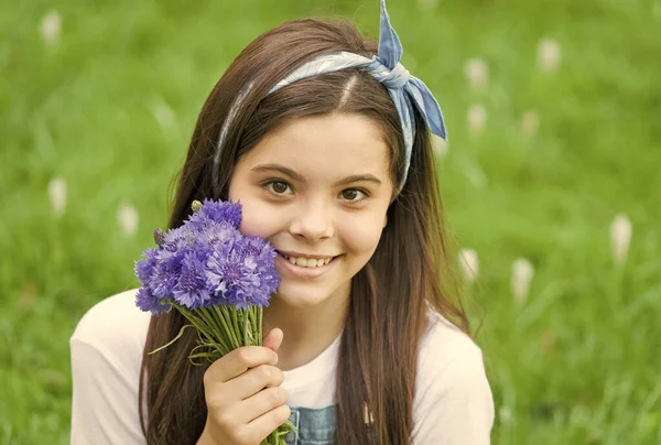 Pequena menina cornflowers buquê férias saudações, coletando flores conceito — Fotografia de Stock