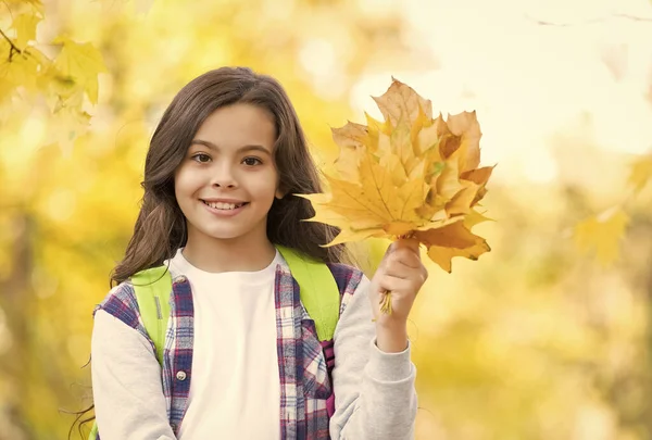 Felfedezni a világot. szezonális időjárás. Gyerekkori boldogság. szépség és természet. boldog gyerek alkalmi stílusban. Egy tini lány viszi a hátizsákját az iskolába menet. gyermek az őszi erdőben. őszi juharlevél a parkban — Stock Fotó