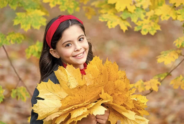 What a beauty. cheerful girl with yellow maple leaves. happy kid enjoy fall weather. small girl in autumn leaves. fall time. child with long hair in fall forest. beauty of nature. kid in autumn park — Stock Photo, Image