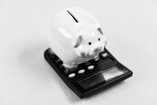 Invertir obtener ganancias. Calcula los impuestos. Cerdito de alcancía y calculadora. Los impuestos y cargos pueden variar. Negocio contable. Pagar impuestos. Concepto de impuestos y tasas. Ahorro fiscal. Piggy banco ahorro de dinero —  Fotos de Stock