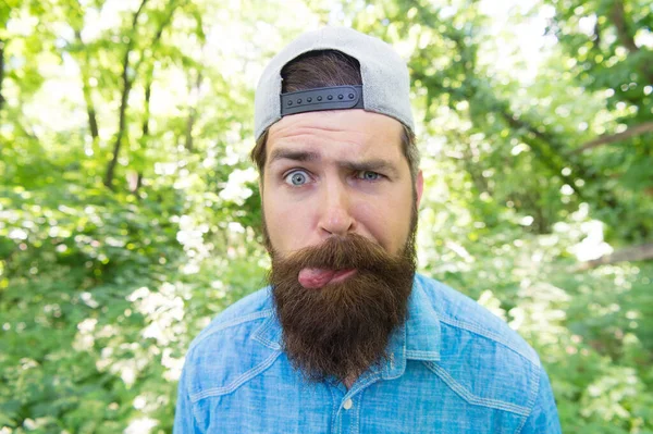 Uomo confuso che mostra lingua. divertente uomo barbuto primo piano ritratto. hipster maturo con barba nella foresta — Foto Stock