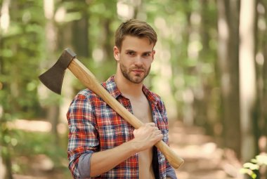 Ağaç kesme mevsimi. Oduncu ormanda baltayı taşır. Orman odunculuğu. Odun kesiyorum. Yaz doğası. Doğa manzarası. Ekoloji ve çevre. Oduncu stili