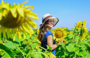 Sevimli köylü kız. Yazın ayçiçeği tarlasında, açık havada mutlu bir gün geçir.